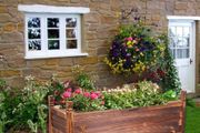Raised Garden Bed Flower or Vegetable Planter Window Mounted Plant Box for Garden, Yard Wood Box for Planting
