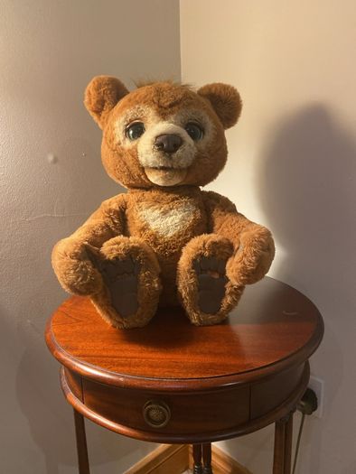 Teddy Bear Cubby the Curious bear