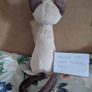 Jellycat Iris Siamese Cat BNWT Image 3