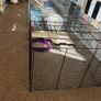 3 Tiers Hamster Cage 2 ft Long with bedding food toys Image 6