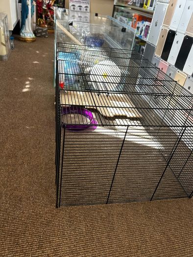3 Tiers Hamster Cage 2 ft Long with bedding food toys
