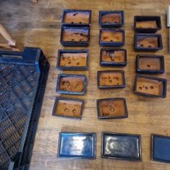 Bonsai pots