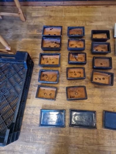 Bonsai pots