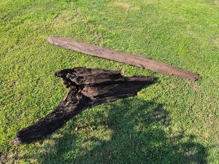 Ancient Bog Oak from Co.Kildare Bog