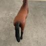 Schleich Hanoverian Mare (13817) from the Horse Club collection. Image 4