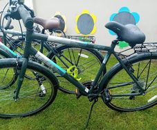 2 Bikes. ( price is for 1 bike )
