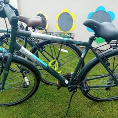 2 Bikes. ( price is for 1 bike )