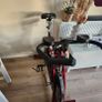 gym Image 4