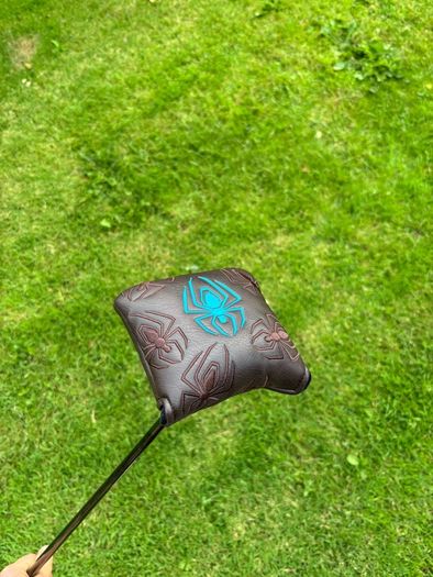 Taylormade spider tour x