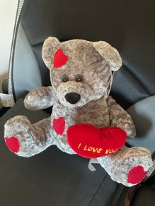 Adorable Loveheart Teddy Brand New