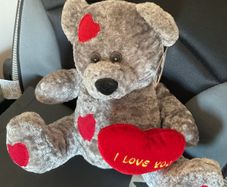 Adorable Loveheart Teddy Brand New