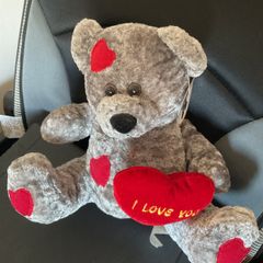 Adorable Loveheart Teddy Brand New