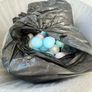 ball pit Image 2