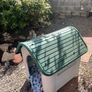 Dog Kennel Image 2