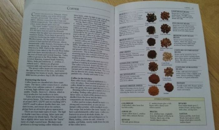 Cook's Ingredients - BOOK
