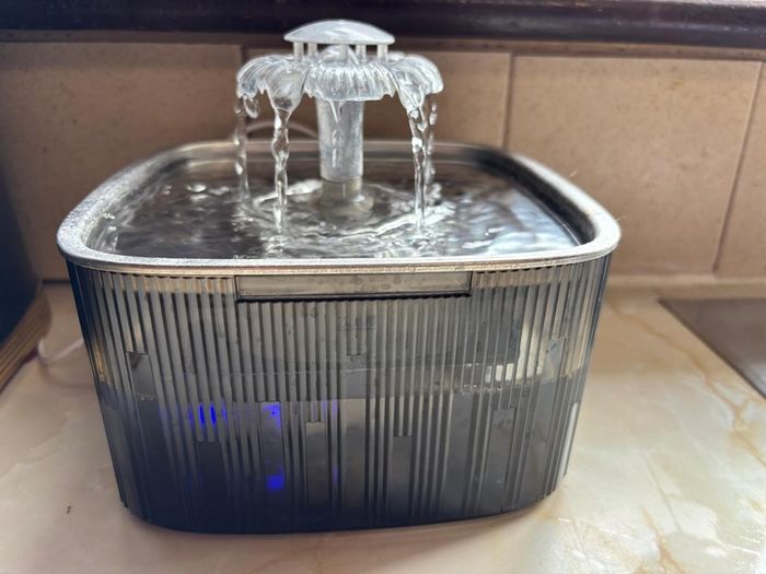 Cat Water Fountain for Drinking