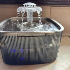 Cat Water Fountain for Drinking