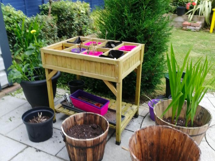 Veg Trug Herb Garden