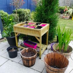 Veg Trug Herb Garden