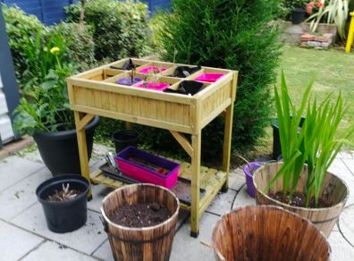 Veg Trug Herb Garden