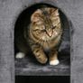 81cm Cat Scratching Barrel, with Two Cat Houses for Indoor Cats, Grey Image 7