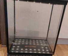 glass fish tank