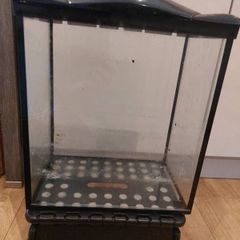 glass fish tank