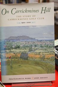 On Carrickmines Hill