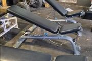 True Fitness Benches 2 Left