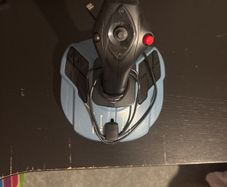 flight sim