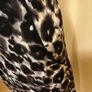 Women's Dress Gallery Size 16 Nwot Image 4