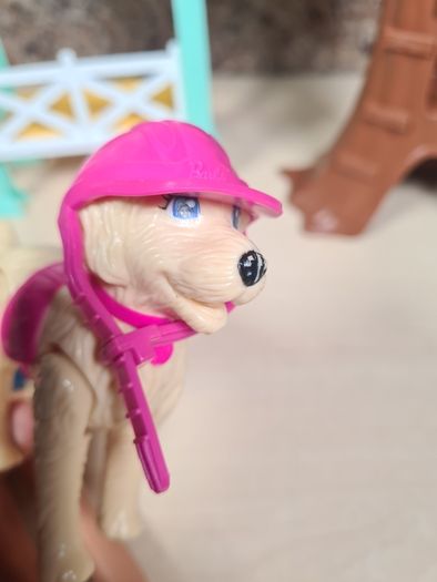 BARBIE BUNDLE Barbie pet rescue doll and Skipper doll with puppy dog