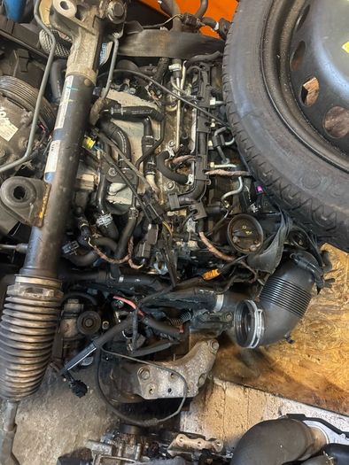 garage clear
