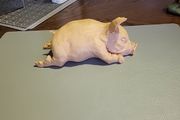 Pig ornament