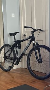 Adult bike