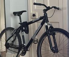 Adult bike