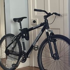 Adult bike