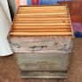 A commercial bee hive Image 4