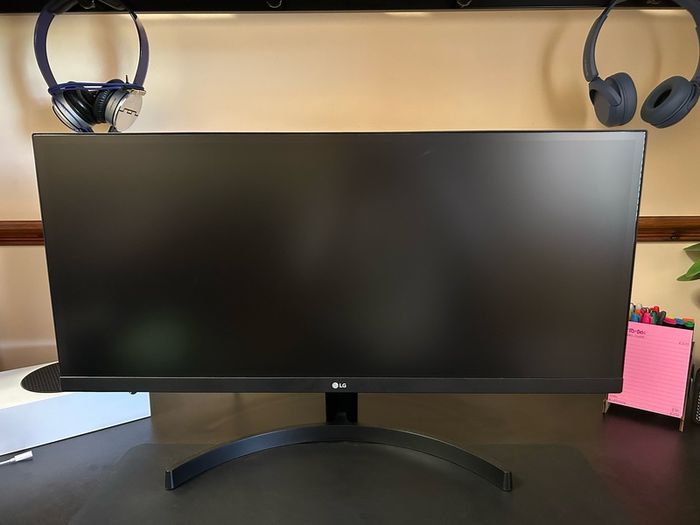 LG Ultrawide 29" Monitor