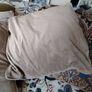 designer 3 large Paul Costello cushions 3 dunnes stores Image 4