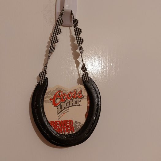 Painted Horseshoe - each one unique