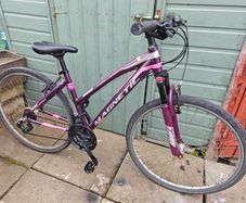 adult bike