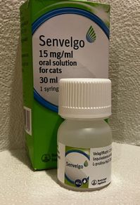 Senvelgo for cats with diabetes postage FREE