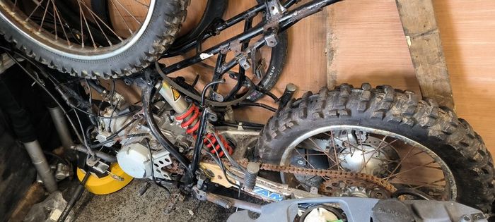 Yamaha pards