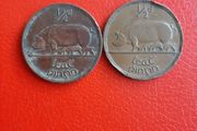 2 Irish Halfpennies in Sequence 1965/1966