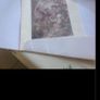 Don Quixote Engravings (6) Image 9