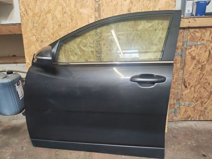Front passenger side door