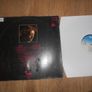 Rory Gallagher - Photo Finish  - VERY RARE Vinyl. Image 3