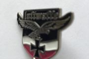 German Luftwaffe pin badge