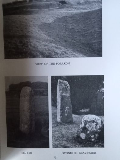 Tara: The Monuments on the Hill